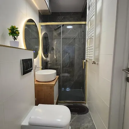 Calea Victoriei Gem Ultracentral Apartments-3 Properties-1 And 2 Bedrooms *