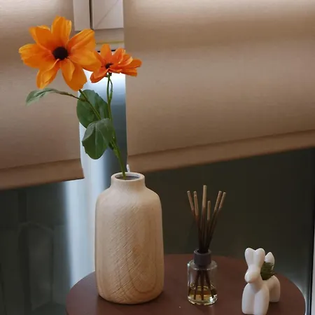 Calea Victoriei Gem Ultracentral Apartments-3 Properties-1 And 2 Bedrooms