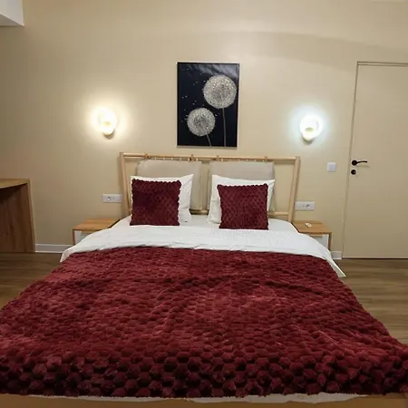 Calea Victoriei Gem - Ultracentral Properties- 1 And 2 Bedrooms Apartment