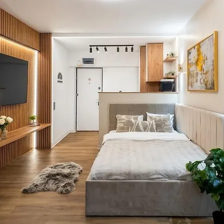 Διαμέρισμα Calea Victoriei Gem - Ultracentral Properties- 1 And 2 Bedrooms