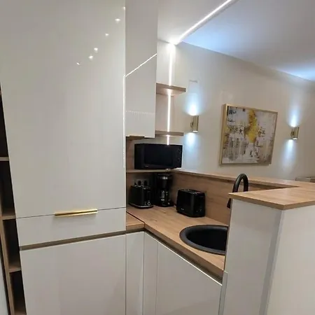 Calea Victoriei Gem - Ultracentral Properties- 1 And 2 Bedrooms Apartment *